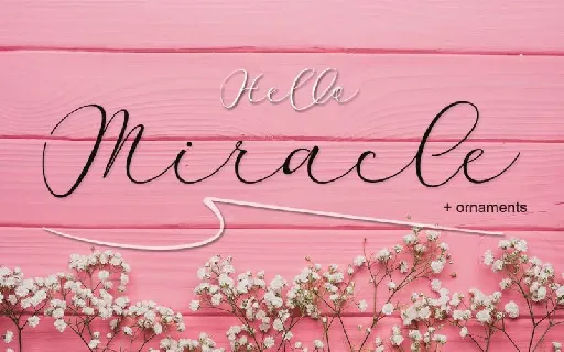 Miracle Script font