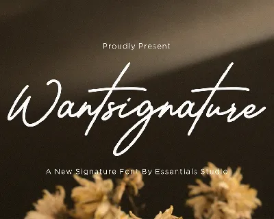 Wantsignature font