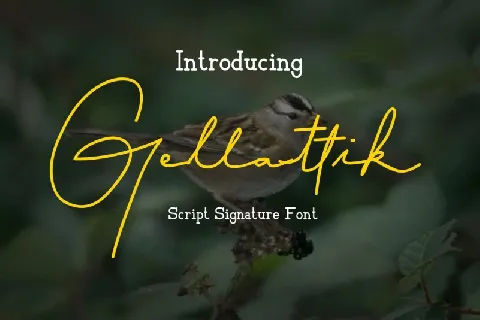 Gellattik Signature font