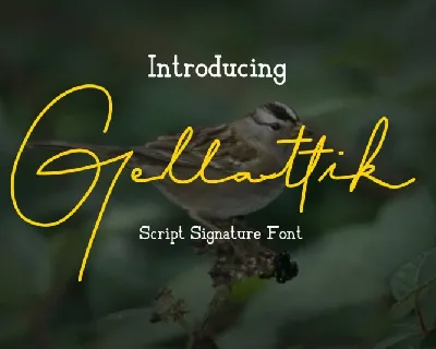 Gellattik Signature font