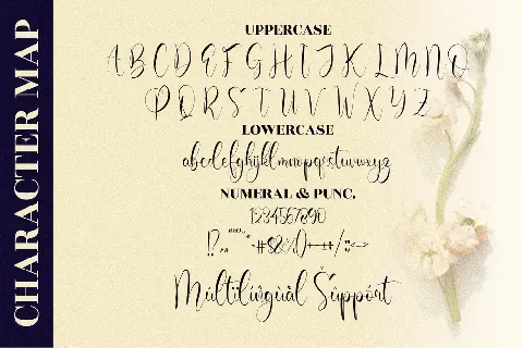 Olivianta Pettcia font