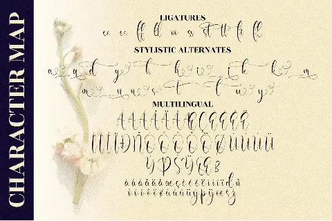 Olivianta Pettcia font