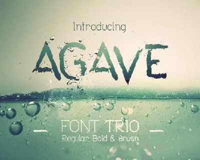 Agave font