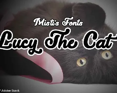 Lucy the Cat Free Download font