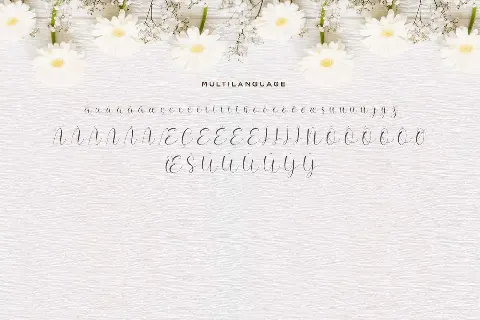 Hello Daisy font