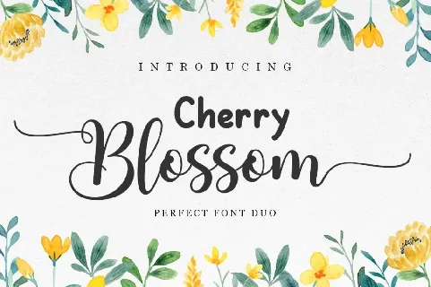 Cherry Blossom font