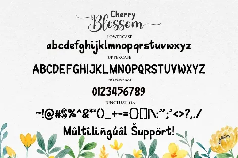 Cherry Blossom font