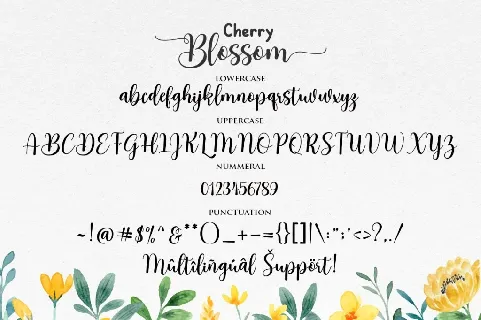 Cherry Blossom font