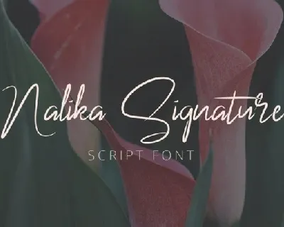 Nalika font