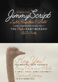 Jimmy Script Free font