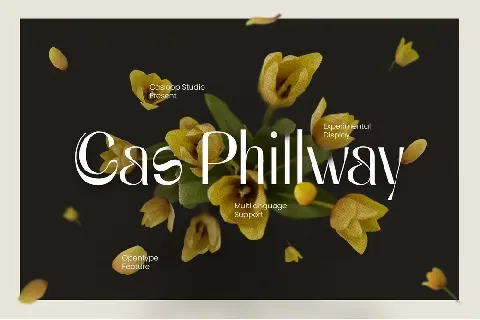 Cas Phillway Typeface font