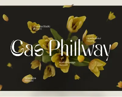 Cas Phillway Typeface font
