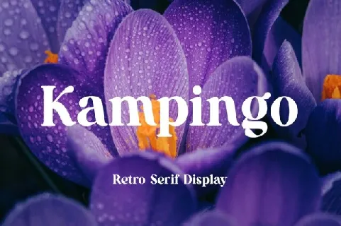 Kampingo font