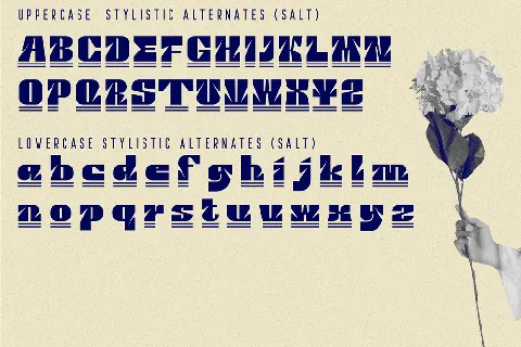 BERETTA font