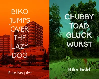 Biko Family font