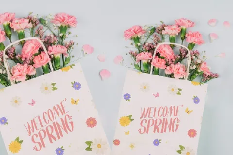 Spring Day font