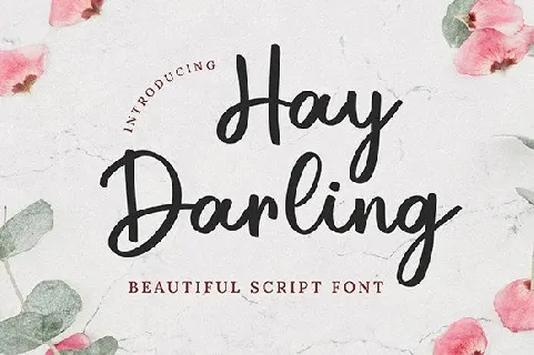 Hay Darling font