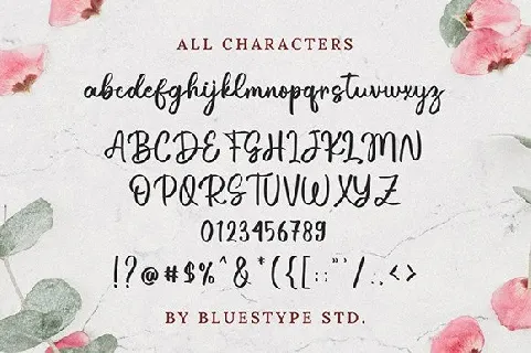 Hay Darling font