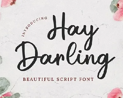 Hay Darling font