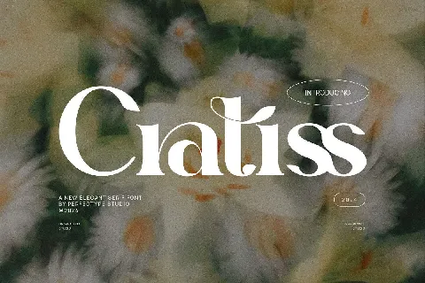 Cratiss font