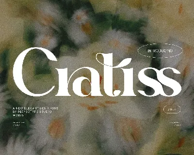 Cratiss font