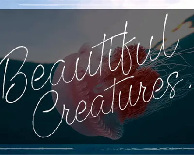 Beautiful Creatures font