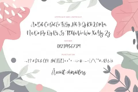 Dandelion Modern Calligraphy font