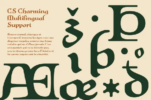 CS Charming font