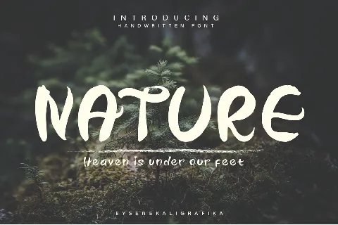 Nature Truth Demo font