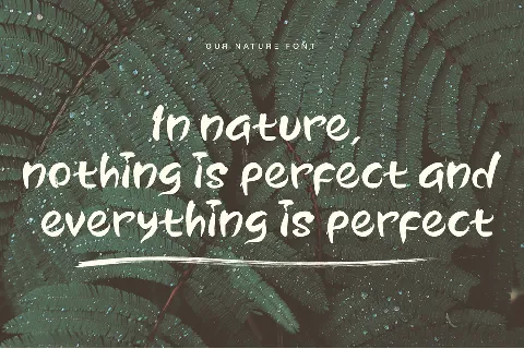 Nature Truth Demo font