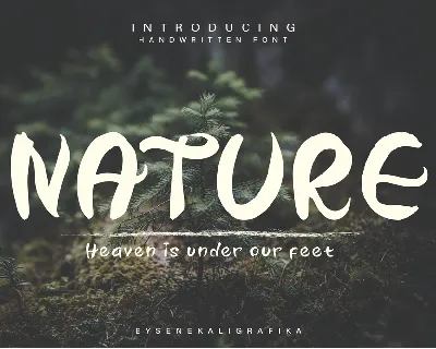 Nature Truth Demo font