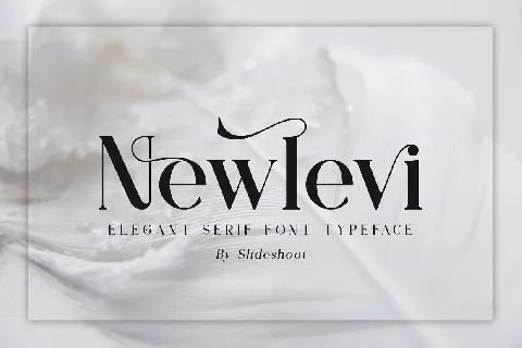 Newlevi font