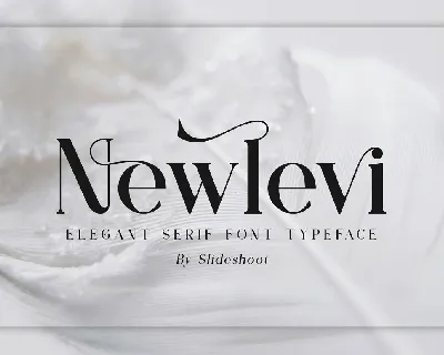 Newlevi font