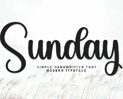 Sunday Script Typeface font