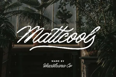 Mattcool font