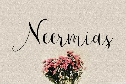 Demo Neermias font