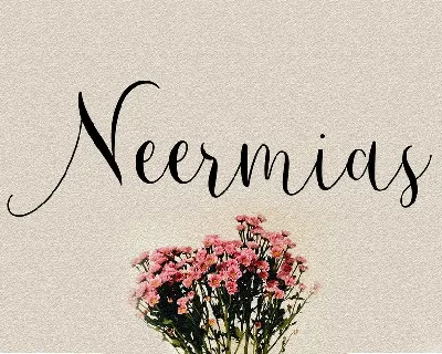 Demo Neermias font