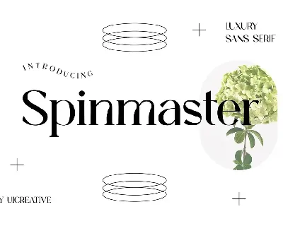 Spinmaster font