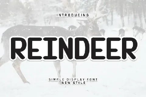 Reindeer Display font