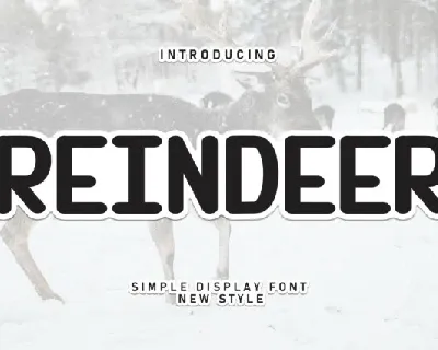 Reindeer Display font