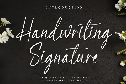 Handwriting Signature Script font