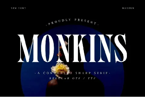 Monkins font