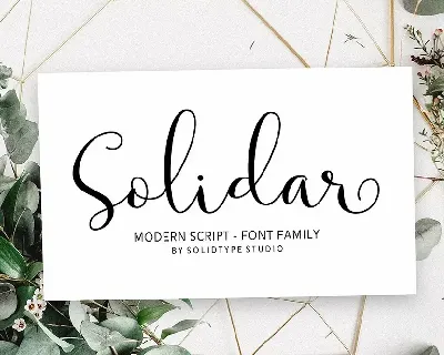 Solidar Script font