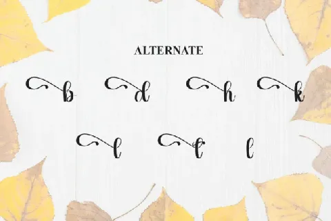 September Calligraphy font