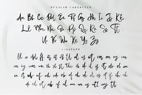 Christopher's handwriting font