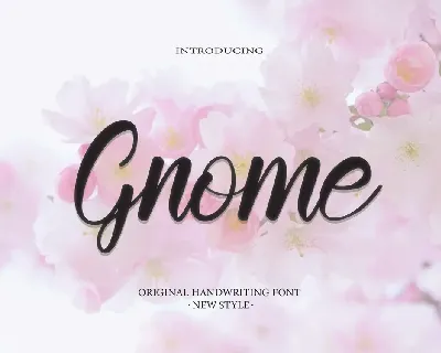 Gnome Typeface font