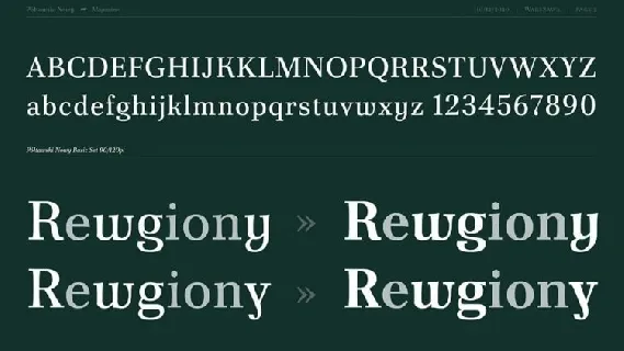 Poltawski Nowy Family font