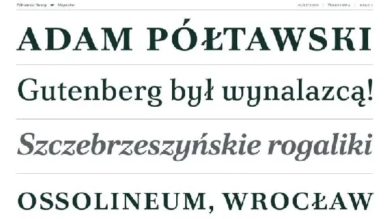 Poltawski Nowy Family font