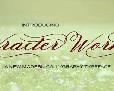 Vracter Work font