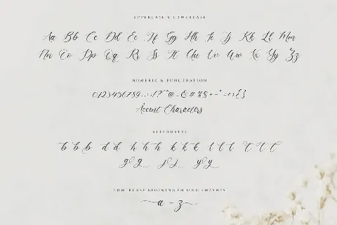 Claytona font